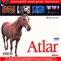 Atlar (VCD)