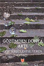 Gözümden Dünya Aktı