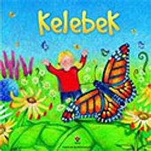 Kelebek (Ciltsiz)