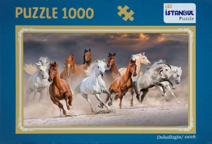 Doludizgin 1000 Parça Puzzle (48x68)