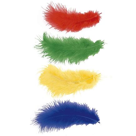 Folia Tüy 10-20Cm 100 Gr