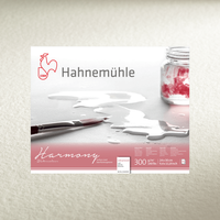 Hahnemülle Harmony Cold Pressed 300 Gsm 30X40