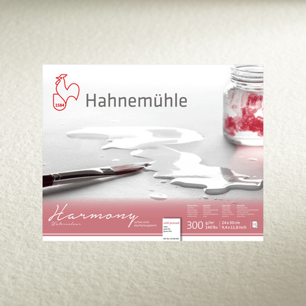 Hahnemülle Harmonyn Cold Pressed 300 Gsm 24X30