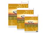 Hahnemülle Pastellfix 170Gsm 24X32Cm 12Sheets (6 Colours)