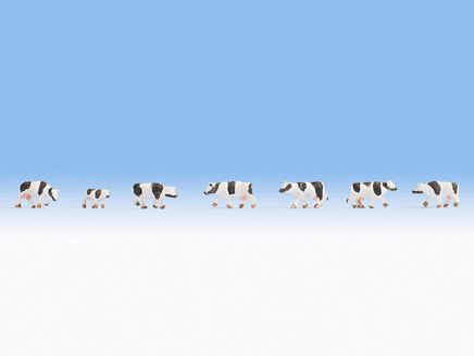 Noch İnekler Siyah/Beyaz