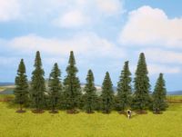 Noch Köknar Ağaçları H:8-12 Cm 9 Ad