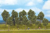 Noch Yan Ağaçları H:10-14 Cm 10 Adet 