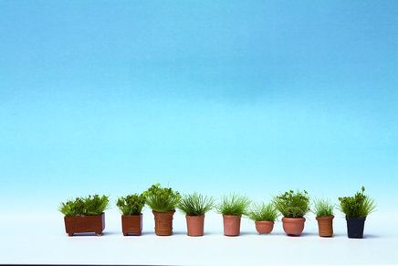 Noch Saksıda Yeşillik  9 Laser Cut Minis+