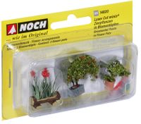 Noch Saksıda Dekoratif Çiçekler