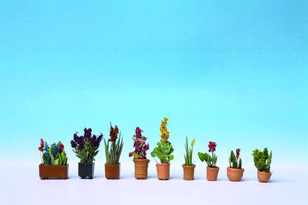 Noch Süs Bitkileri 9 Laser Cut Minis+