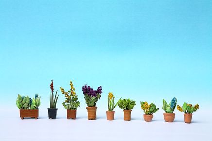 Noch Süs Bitkileri 9 Laser Cut Minis+