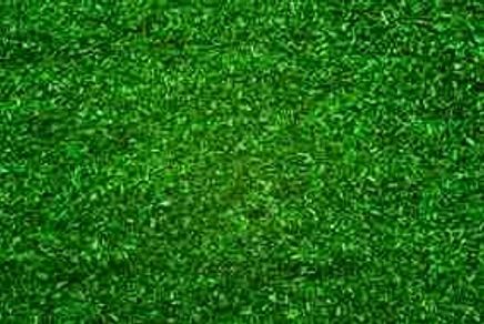 Noch Orman Zemini 42 Gr