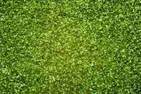 Noch Yüksek Dağ 42 Gr