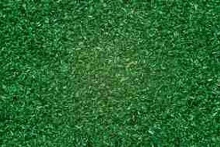 Noch Yağmurlu Alan 42 Gr