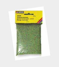 Noch Yaz Çiçekleri Çeşitli Renklerde 