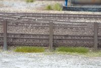 Noch Çim Şerit 18 Şerit 18 Parça 