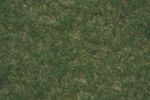 Noch Çimen, Orta Yeşil 5 Mm, 30 Gr 