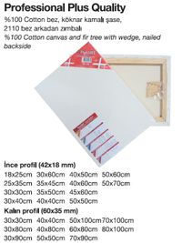 Ponart Profesyonel A Plus Kalite Tuval 25X35