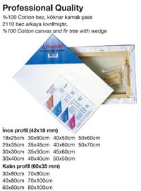 Ponart 20X20 Profesyonel Plus Kalite Tuval