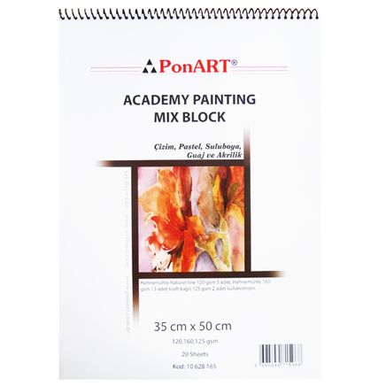 Ponart Academy Painting Mix 35X50 20Y