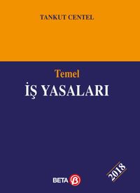 Temel İş Yasaları