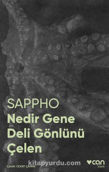 Nedir Gene Deli Gönlünü Çelen (Fotoğraflı Klasikler) - Sappho