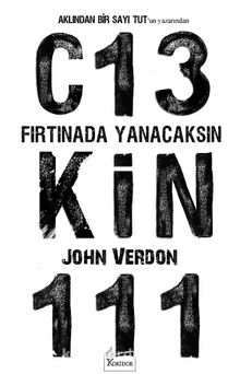 Fırtınada Yanacaksın - John Verdon