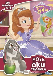 Disney Prenses Sofia Boya Oku Tamamla Oda Arkadaşım Tırfıl - Kolektif
