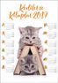 2019 Takvimli Poster - Kediler ve Kitaplar - Kitap Ev