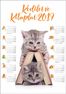 2019 Takvimli Poster - Kediler ve Kitaplar - Kitap Ev