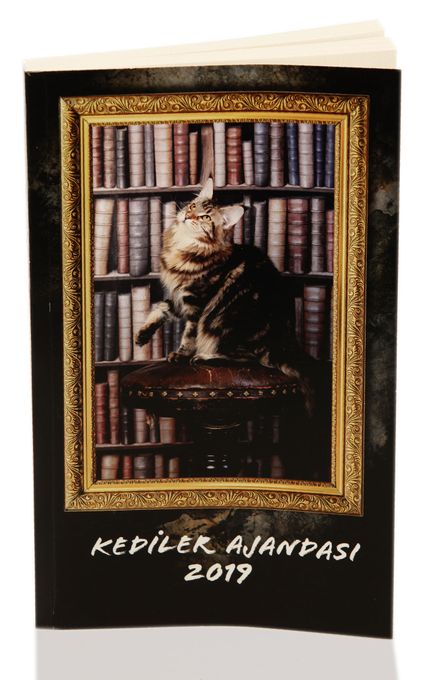 2019 Kediler Ajandası (Küçük Boy)