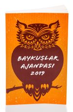 2019 Baykuş Ajandası (Büyük Boy)