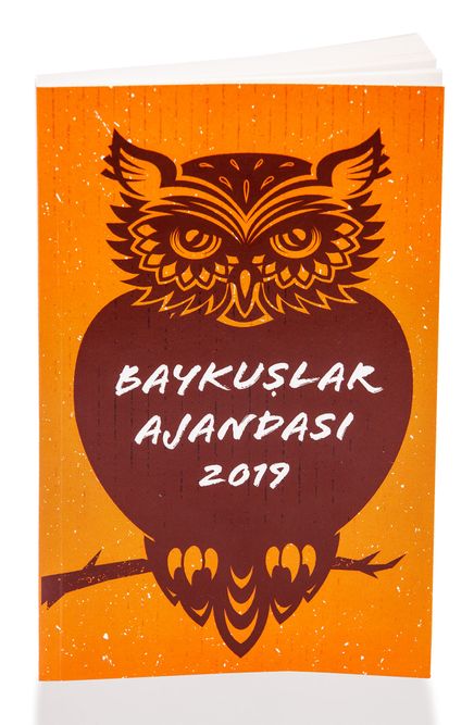 2019 Baykuş Ajandası (Küçük Boy)