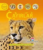 Çayırlar