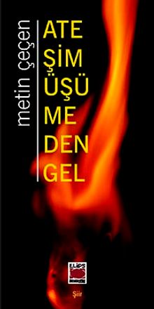 Ateşim Üşümeden Gel