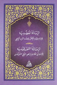 Errisaletü'l Adudiye