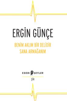 Benim Aklım Bir Delidir Sana Armağanım