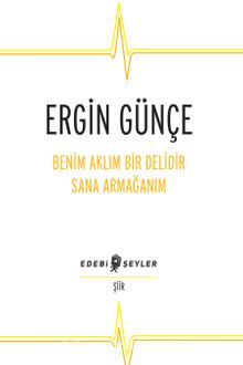 Benim Aklım Bir Delidir Sana Armağanım - Ergin Günçe