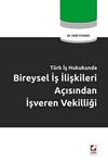 T&uuml;rkiye İş Hukunda Bireysel İş İlişkileri A&ccedil;ısından İşveren Vekilliği
