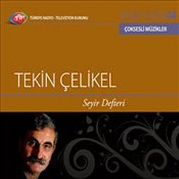 TRT Arşiv Serisi 44 / Tekin Çelikel Seyir Defteri