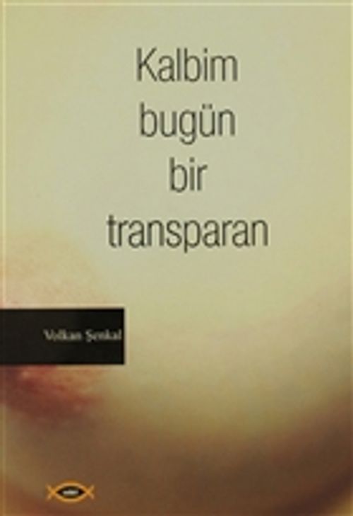 Kalbim Bugün Bir Transparan