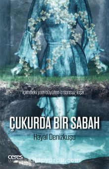 Çukurda Bir Sabah - Hayal Denizkuşu