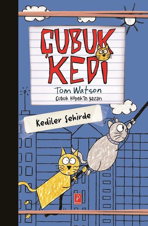 Çubuk Kedi & Kediler Şehirde