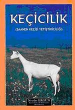 Keçicilik (Saanen Keçisi Yetiştiriciliği)