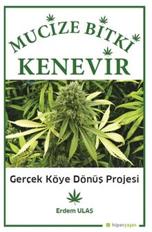 Mucizevi Bitki Kenevir & Gerçek Köye Dönüş Projesi