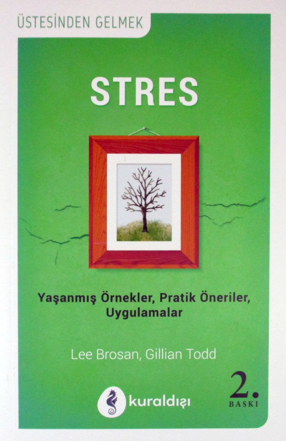 Stres (Gillian Todd) Fiyatı, Yorumları, Satın Al - Kitapyurdu.com