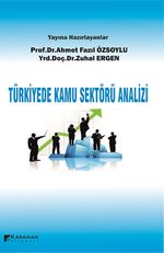 Türkiye'de Kamu Sektörü Analizi