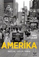 Amerika & İnceleme-Gözlem-Yorum
