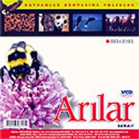 Arılar (VCD)