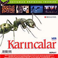 Karıncalar (VCD)